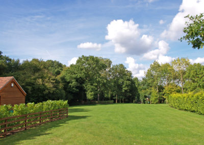 Hollybush garden paddock